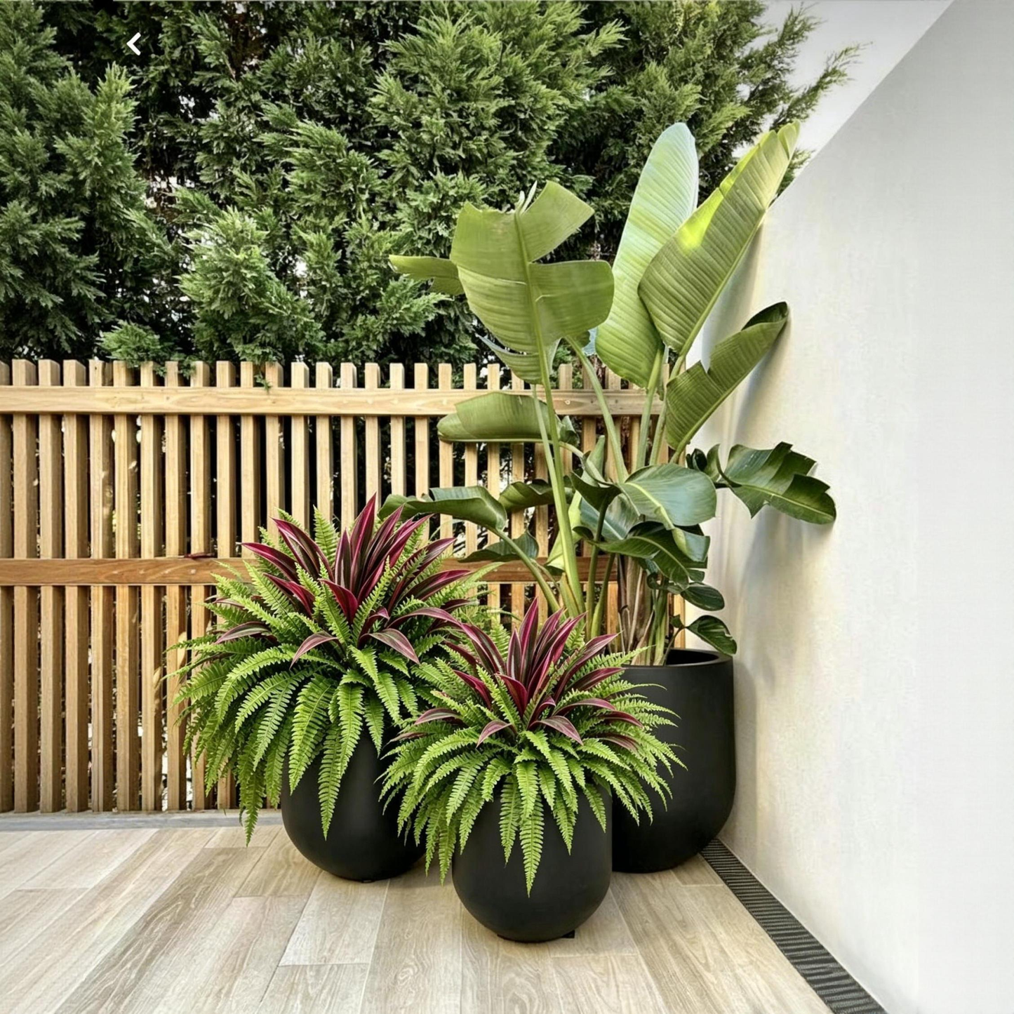 🌿UV-Resistant Artificial Fern & Red Dracaena Decorative Plants – Full, Lush & Fade-Resistant!