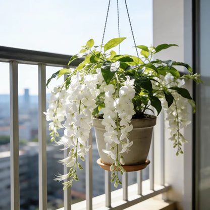 💐Rare Perfume Jasmine Seeds 🌼 Super easy to care - Winter Planting, Perennial Blooms & Fragrant Garden Elegance 🌸